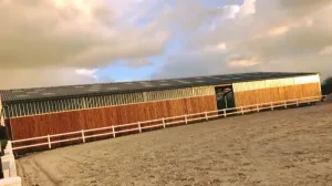 Écurie - cheval attelé